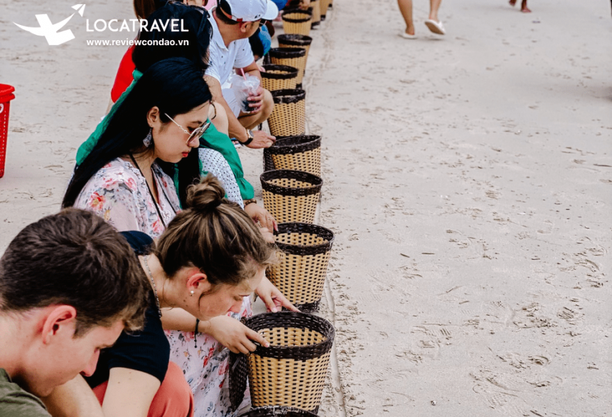 Tour  7 cạnh & Hòn Cau